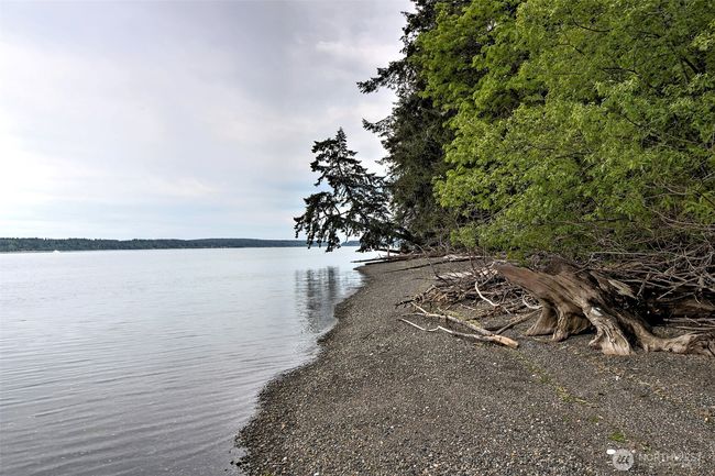 View to the south from shared trail access. | Image 33