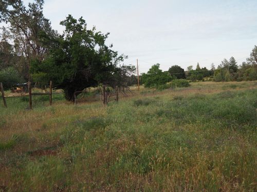 21705 S Powerhouse Rd, Manton, CA, 96059-9300 | Card Image