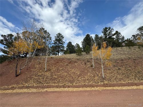  Pikes Peak Dr, Divide, CO, 80814 | Card Image