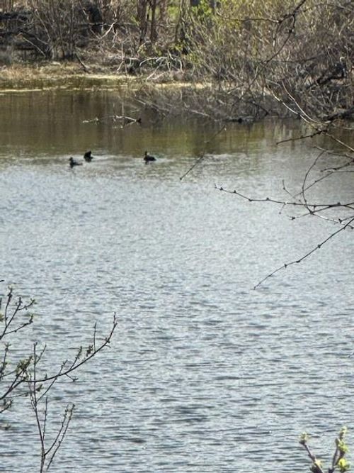 8023 Dew Drop, Horseshoe Bay, TX, 78657 | Card Image