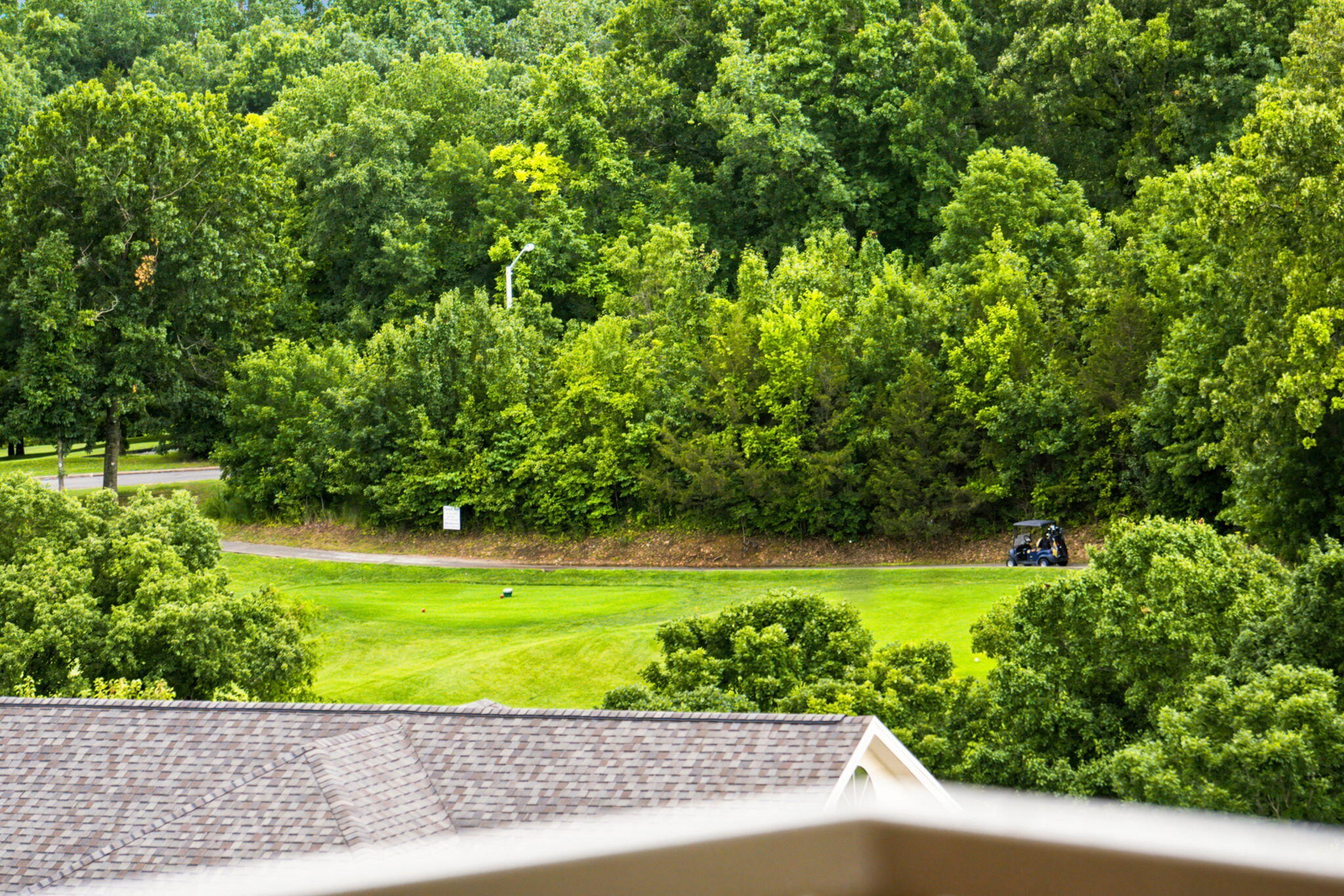 Residential in Branson 3