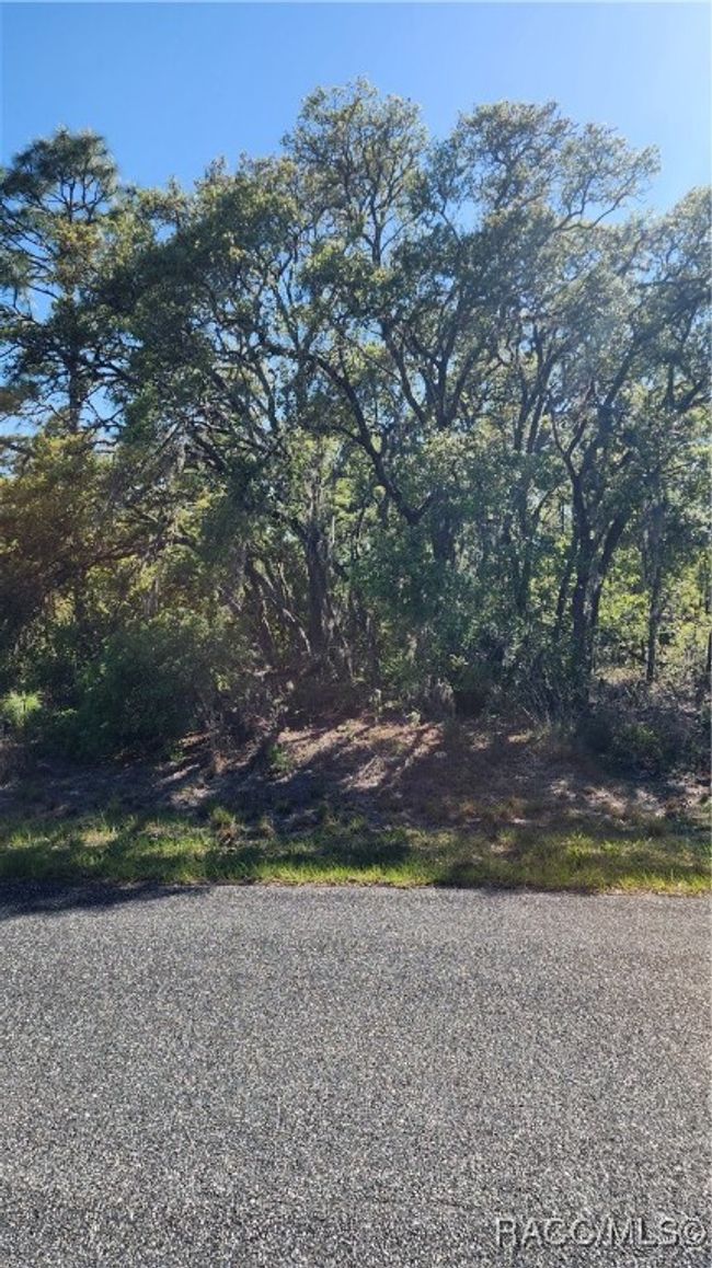 2872 W Lambert Dr, Home with 0 bedrooms, 0 bathrooms and null parking in DUNNELLON FL | Image 7