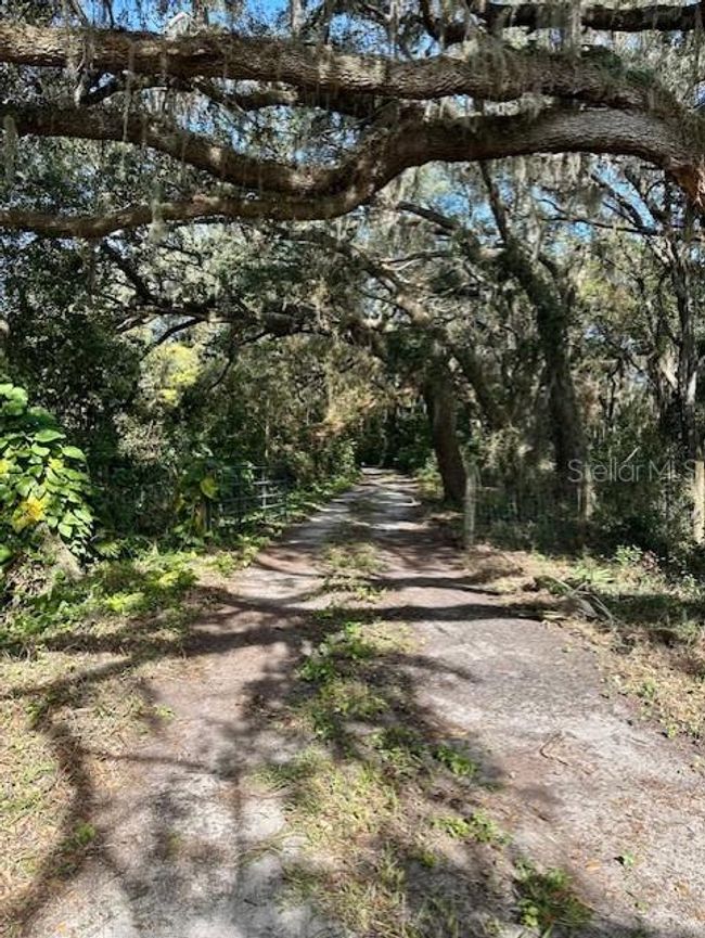 1918 Mountain Lake Cutoff Rd, House other with 6 bedrooms, 4 bathrooms and null parking in LAKE WALES FL | Image 33