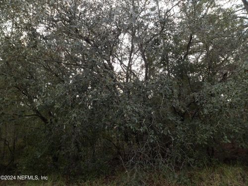 116 Horse Landing Rd, Satsuma, FL, 32189-2507 | Card Image