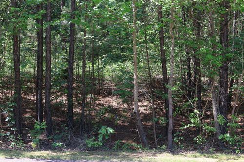 TBD Heather Ridge Dr, Texarkana, AR, 71854 | Card Image