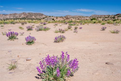 TBD Us Hwy 285, Ojo Caliente, NM, 87549 | Card Image