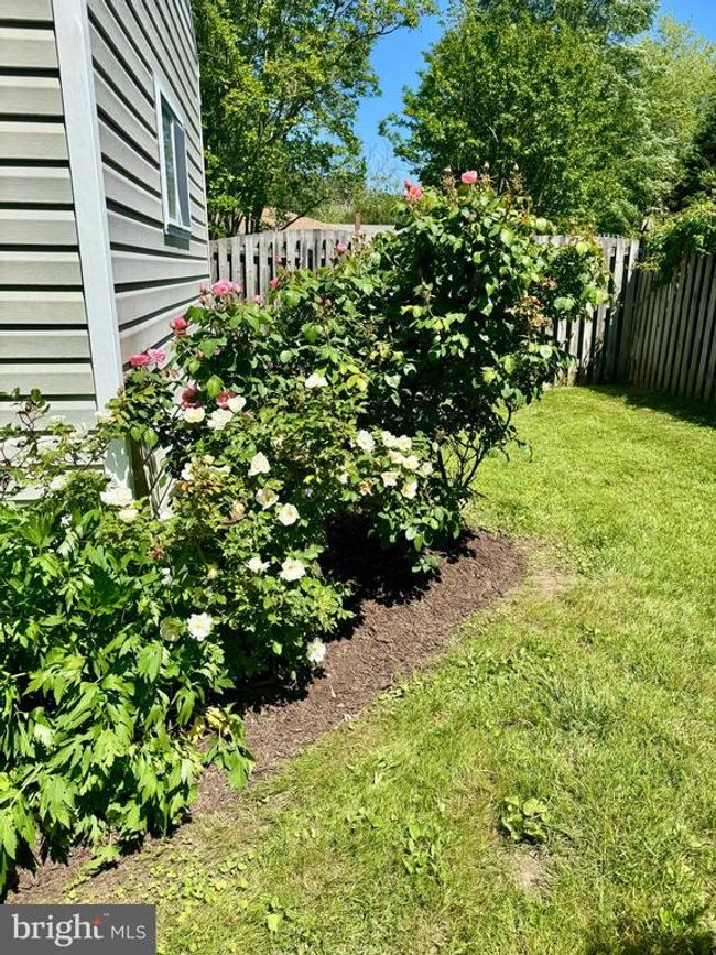 1203 Cove Dr, House other with 3 bedrooms, 3 bathrooms and null parking in CHURCHTON MD | Image 35