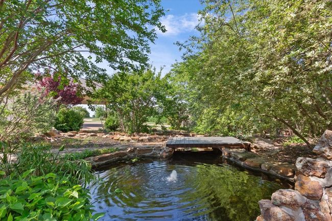 Koi Pond | Image 30