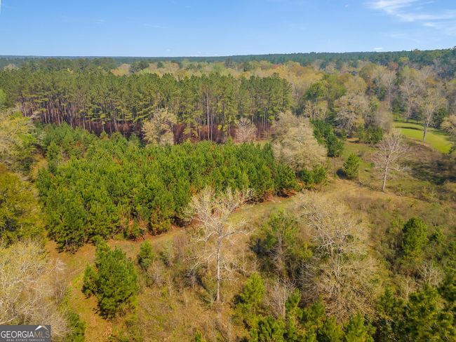 4103 Hadley Ferry Rd, House other with 2 bedrooms, 3 bathrooms and null parking in CAIRO GA | Image 49