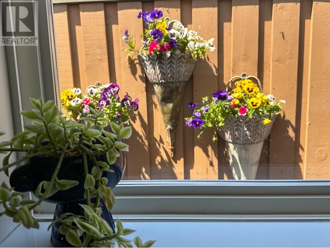 611 Gertrude St, House other with 3 bedrooms, 2 bathrooms and 4 parking in Midway BC | Image 7