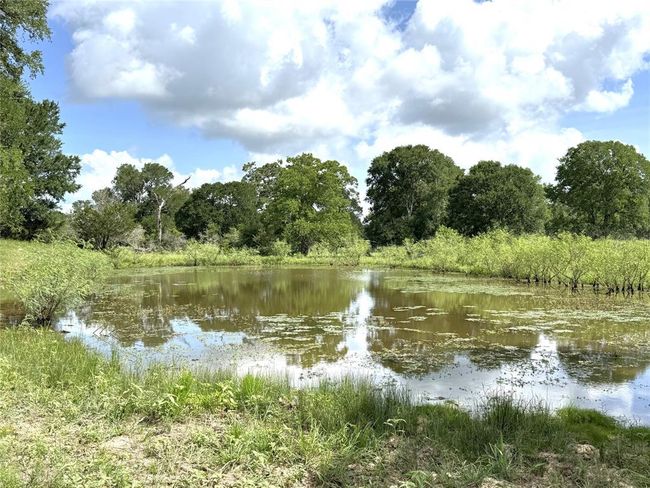 1435 Shaws Bend Rd, Home with 3 bedrooms, 2 bathrooms and null parking in Columbus TX | Image 28