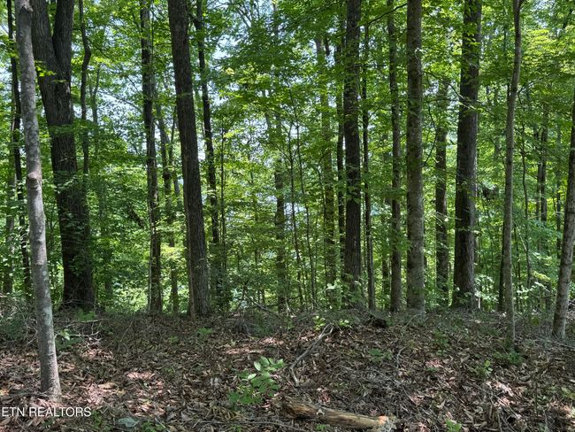 44 Ridgeland Dr, Home with 0 bedrooms, 0 bathrooms and null parking in Sharps Chapel TN | Image 16