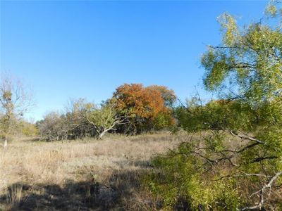 lot 238 Feather Bay Drive, Home with 0 bedrooms, 0 bathrooms and null parking in Brownwood TX | Image 3