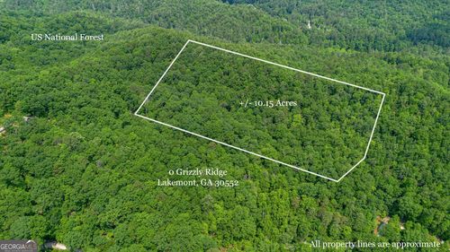 0 Grizzly Ridge Rd, Lakemont, GA, 30552 | Card Image