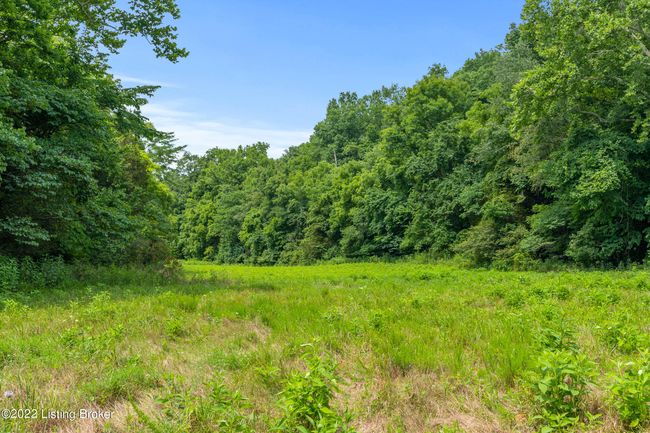 7903 Organ Creek Rd, Home with 0 bedrooms, 0 bathrooms and null parking in Pendleton KY | Image 14