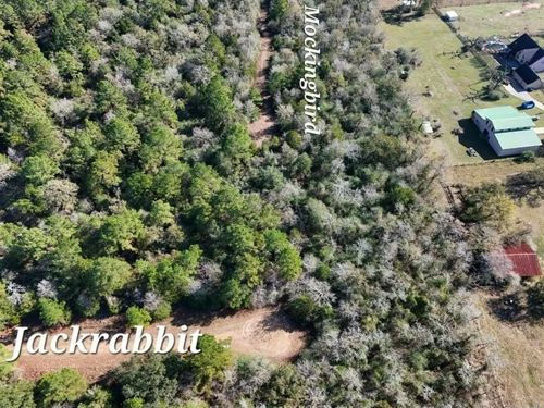 28802 Jackrabbit Dr, Hempstead, TX, 77445 | Card Image