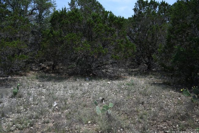 135 Agarita Dr, Home with 0 bedrooms, 0 bathrooms and null parking in Spring Branch TX | Image 4