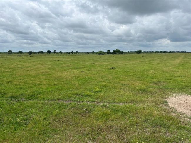 2627 Beasley West End Rd, Home with 0 bedrooms, 0 bathrooms and null parking in Beasley TX | Image 11
