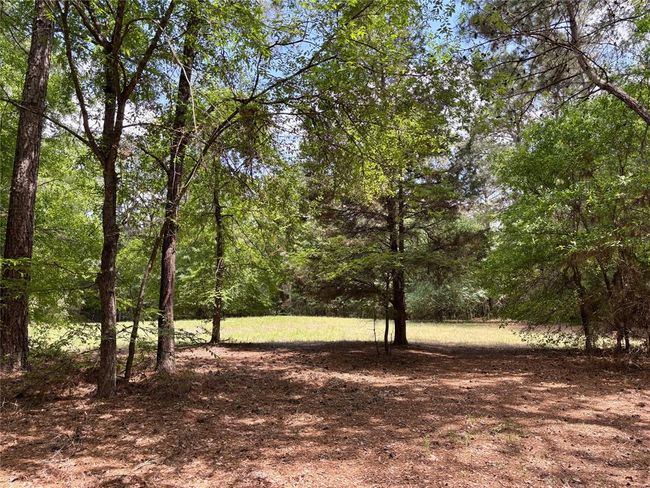 7481 County Road 232, Home with 0 bedrooms, 0 bathrooms and null parking in Richards TX | Image 10