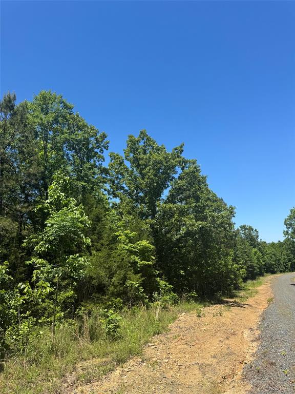 Land in Watson 5