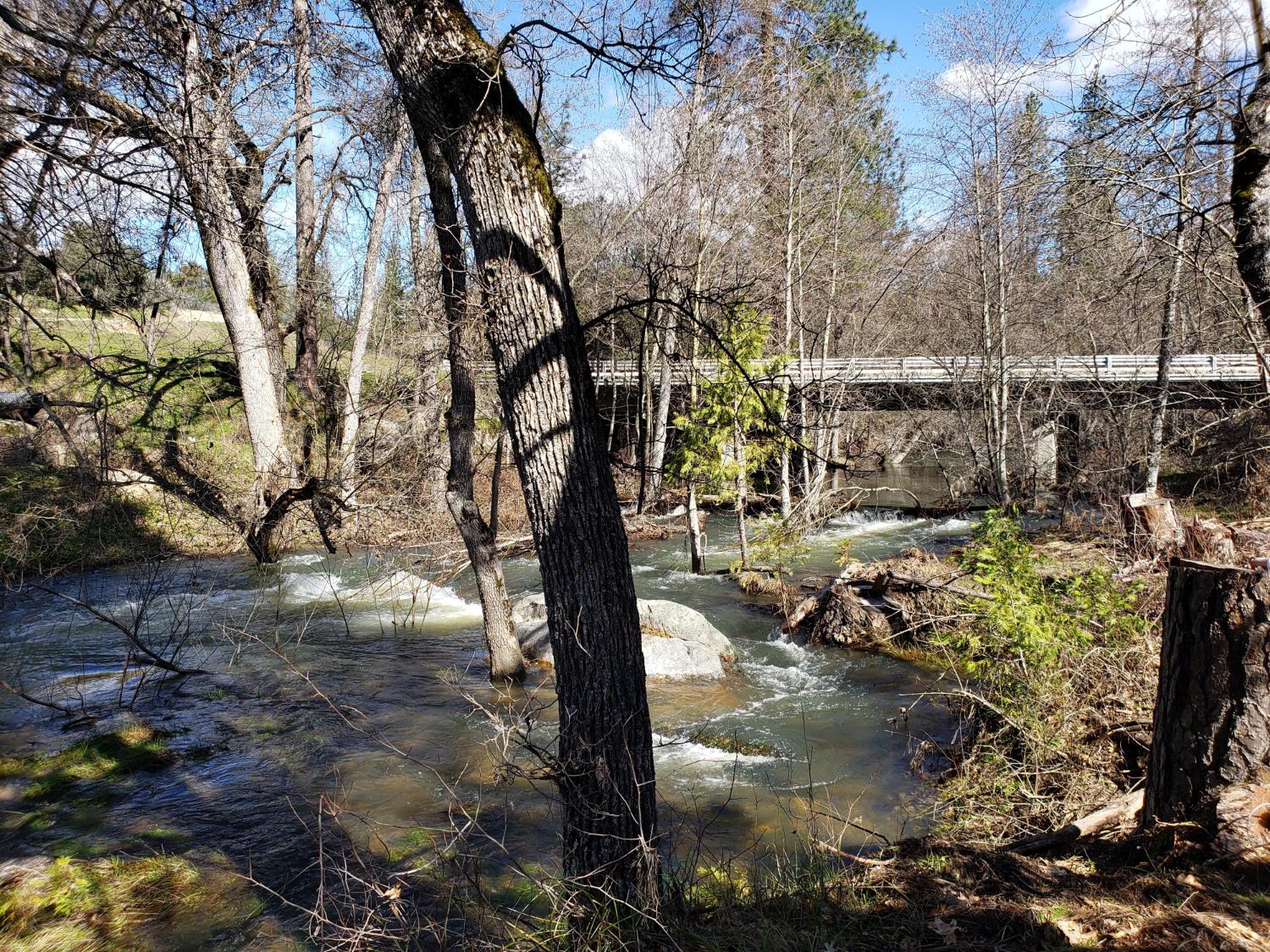 Land in North Fork 2