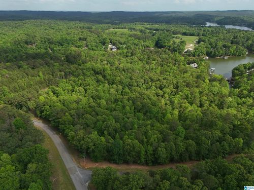 125-lots 125 Red Cedar Drive, Wedowee, AL, 36278 | Card Image