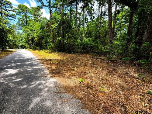 TBD Lot 4 Cr 4557, Winnsboro, TX, 75494 | Card Image