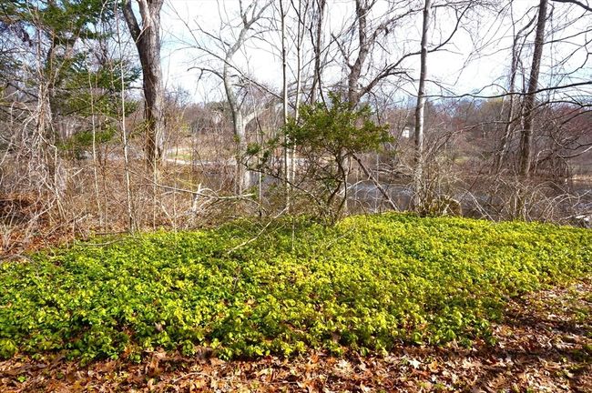 28 Stowe Rd, House other with 3 bedrooms, 1 bathrooms and 3 parking in Grafton MA | Image 5