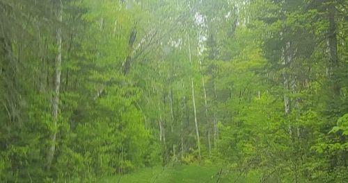 42275 Camp Eatmore Rd, BARNES, WI, 54873 | Card Image