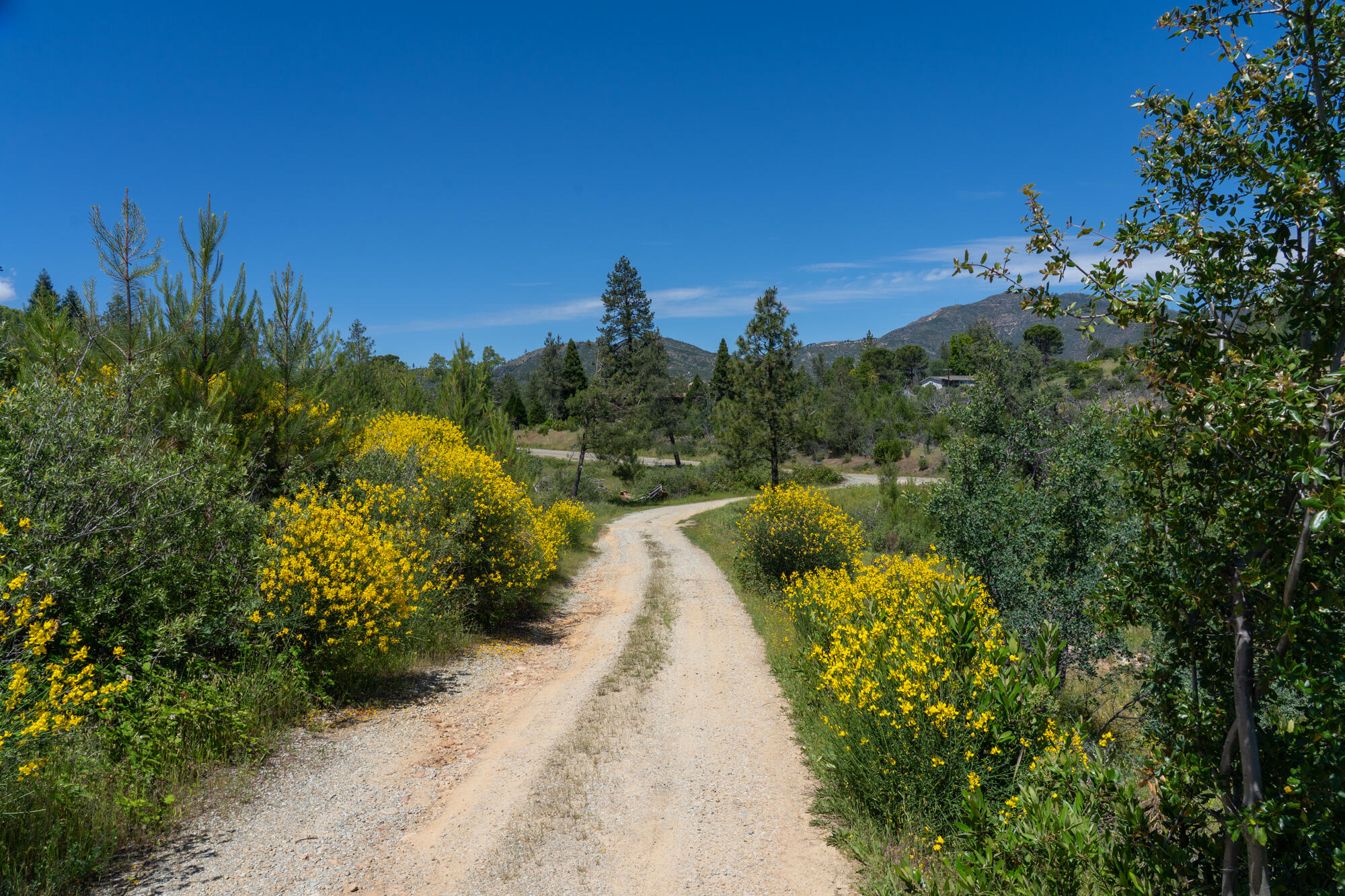Land in Redding 4