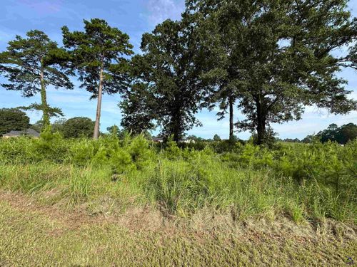 Lt 21 Camden Way, Hawkinsville, GA, 31063 | Card Image