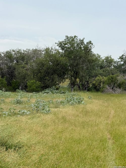 6038 County Road 405, Floresville, TX, 78114-4761 | Card Image