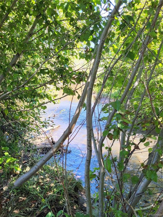 000 La Jara Creek Road, Home with 0 bedrooms, 0 bathrooms and null parking in La Jara CO | Image 8