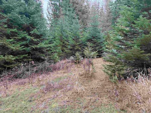 TBD S Janice Dr, Worley, ID, 83876 | Card Image