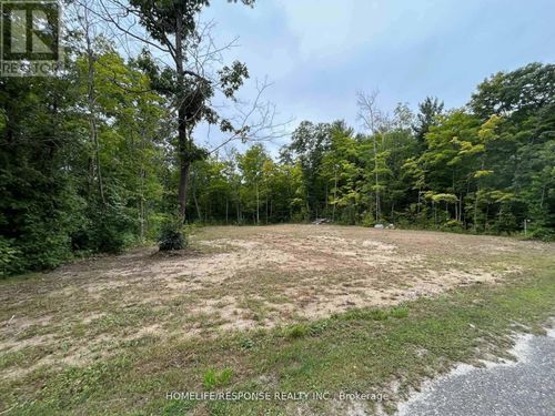 56 Poplar Dr, Tiny, ON, L9M0J2 | Card Image