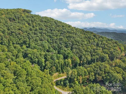10-000 Biltmore View Drive, Candler, NC, 28715 | Card Image
