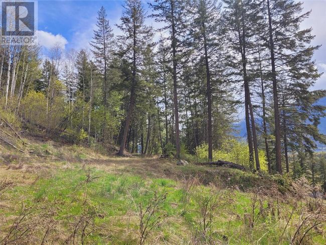 24 - 2481 Squilax Anglemont Rd, Home with 0 bedrooms, 0 bathrooms and null parking in Lee Creek BC | Image 9
