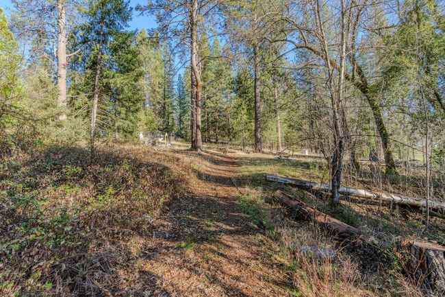 181 Bald Mountain Rd, House other with 2 bedrooms, 3 bathrooms and null parking in West Point CA | Image 48