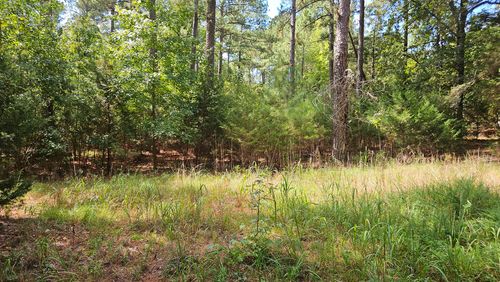 0 Double Branches Rd, Lincolnton, GA, 30817 | Card Image