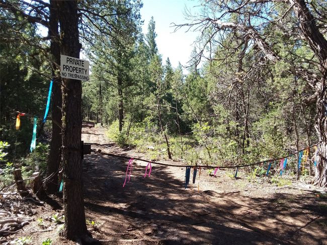 344 Nf 83, Home with 0 bedrooms, 0 bathrooms and null parking in Pecos NM | Image 5