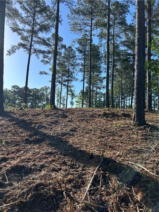 Lot 2 Little Keowee Boulevard, Home with 0 bedrooms, 0 bathrooms and null parking in West Union SC | Image 9