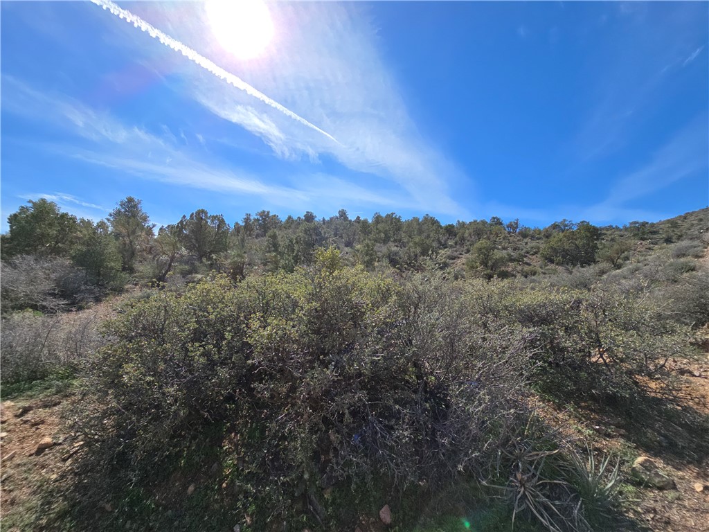 Land in Kingman 3