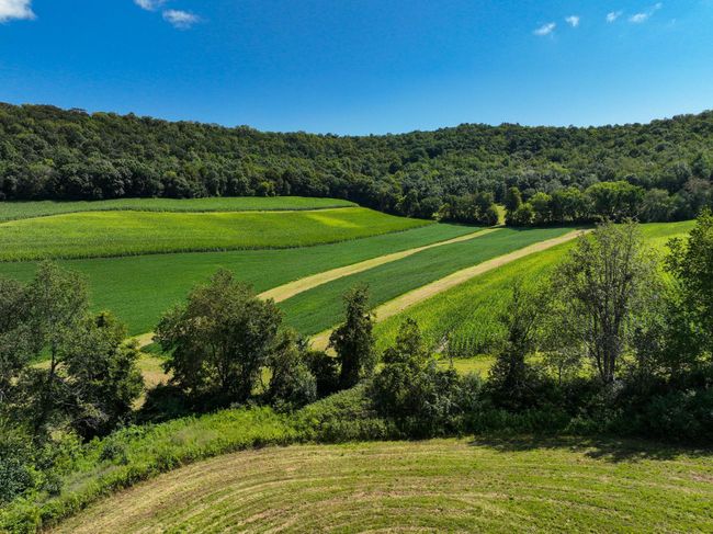DJI_0385.jpg | Image 12