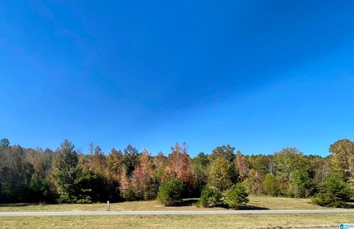 1-Lot #5 Highway 75, Oneonta, AL, 35121 | Card Image