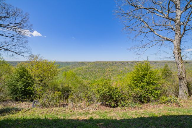 1927 Laurel Lake Dr, House other with 5 bedrooms, 3 bathrooms and 2 parking in Monteagle TN | Image 74