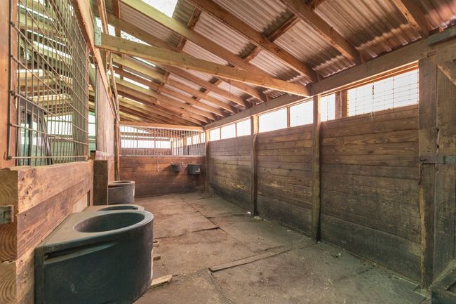 Inside horse stable | Image 48