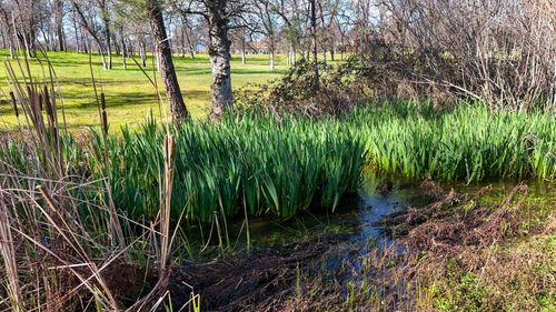 13231 Alicia Pkwy, Redding, CA, 96003 | Card Image