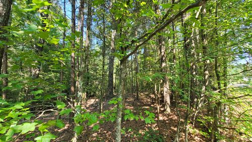 1175 New Friendship Rd, Buena Vista, TN, 38318-2631 | Card Image