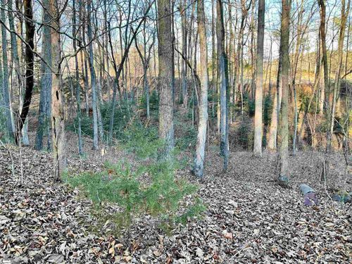 110 Laurel Valley Way, Travelers Rest, SC, 29690-8196 | Card Image