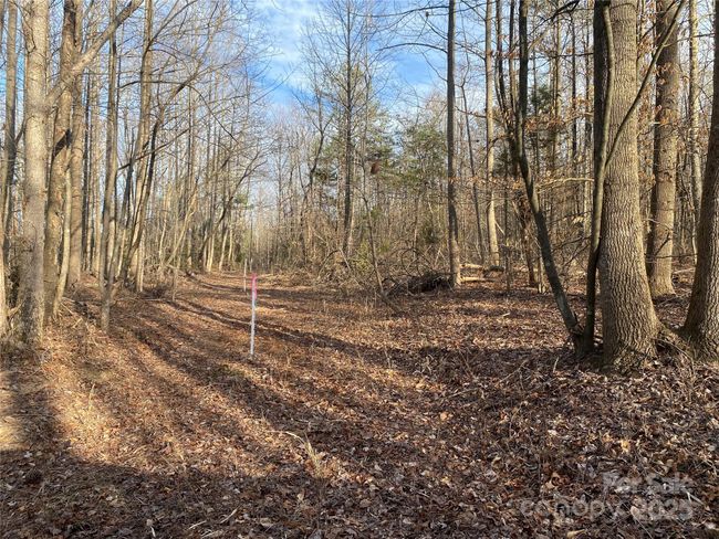 3 - 3288 Tatertown Loop, Home with 0 bedrooms, 0 bathrooms and null parking in Nebo NC | Image 7